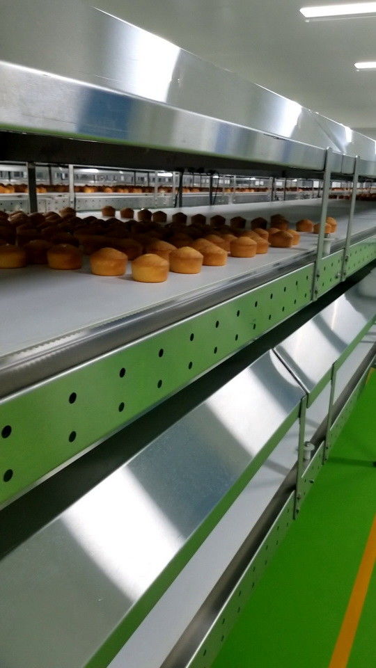 Straight Endless Belt Multi Layer Cooling Food Industry Conveyors