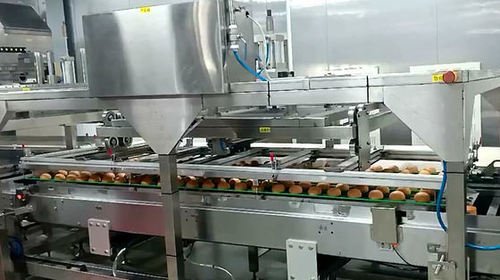 The Smart Factory: How Data is Driving the Future of Automated Baking