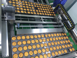 CE Approved Commercial Automatic Bread Production Line With PLC System
