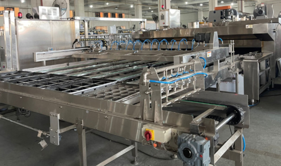 Automatic Croissant Production Line with Insulated Tunnel Oven & Cooling System