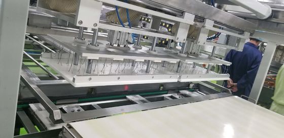 Bread Pick Up Suction Depanner