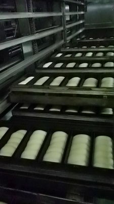 ISO9000 Bread Proofer