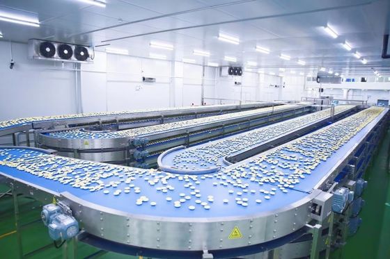 380V Filled Cookie Production Line