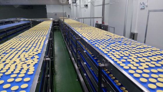 Independent Controlled FDA SUS304 Food Industry Conveyors