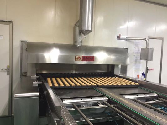 Independent Controlled FDA SUS304 Food Industry Conveyors