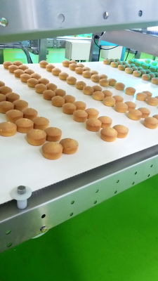 Straight Endless Belt Multi Layer Cooling Food Industry Conveyors