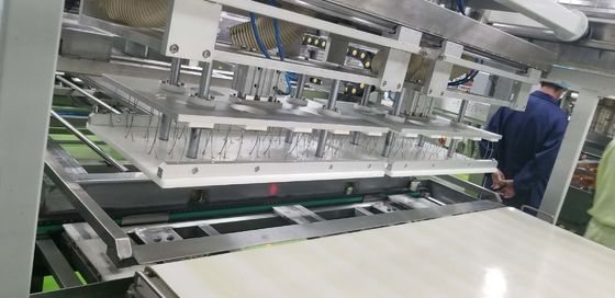 Suction Depanner Toast Production Line