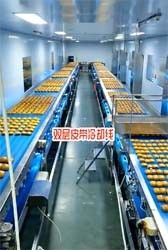 Straight Endless Belt Multi Layer Cooling Food Industry Conveyors