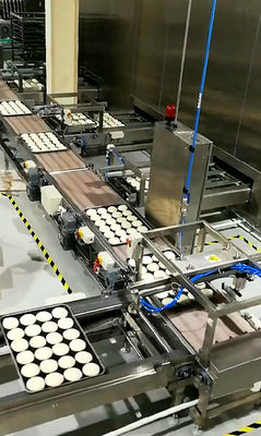 Module Belt Food Industry Conveyors